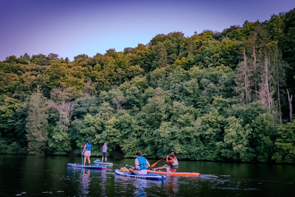 Pagayer Au Clair de Lune en SUP